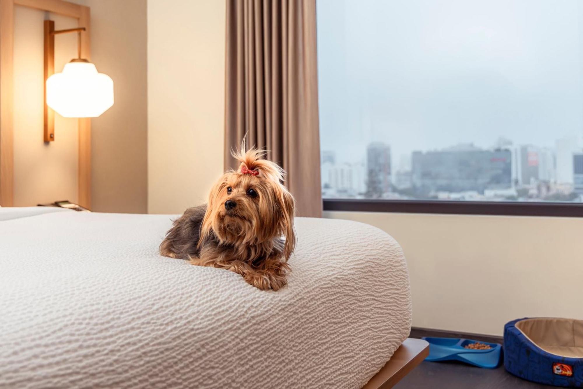 Fairfield By Marriott Lima Miraflores Εξωτερικό φωτογραφία